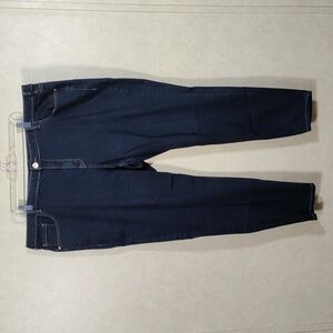 01099 Lane Bryant dark wash Genius Fit Skinny jeans 24